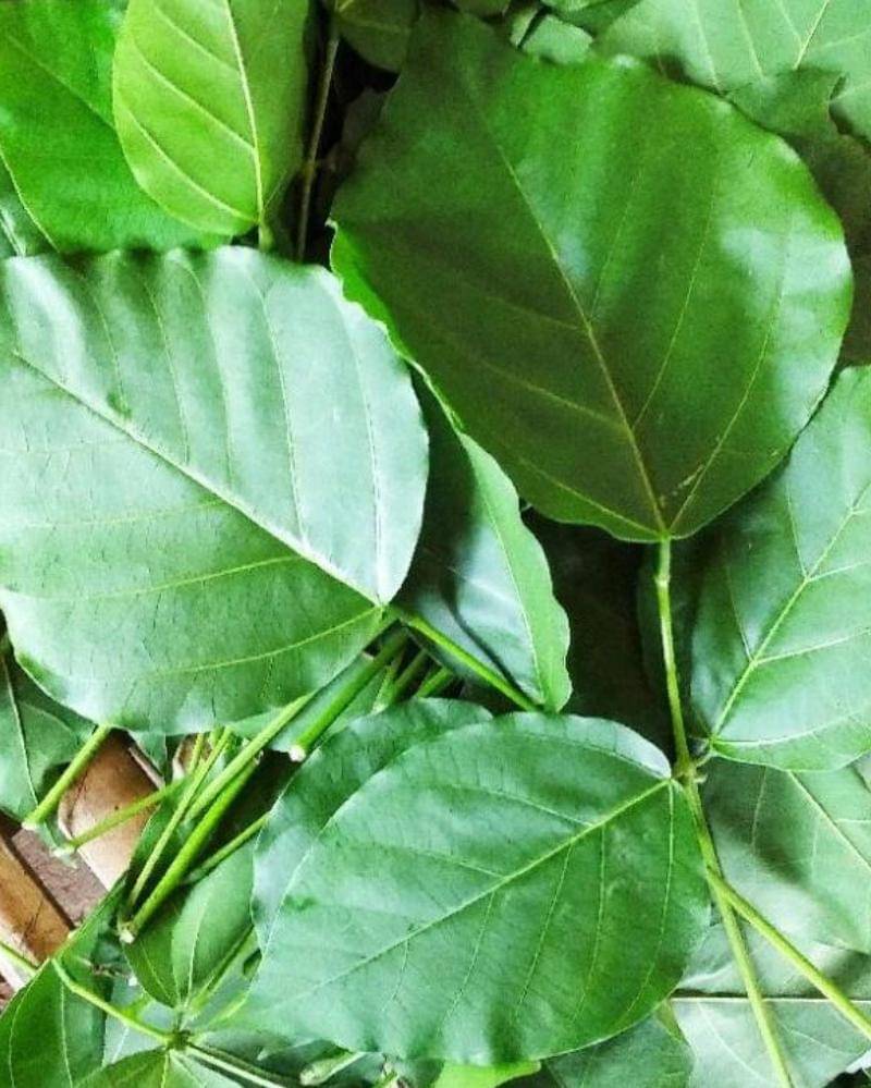 Shopee/onlinemart024